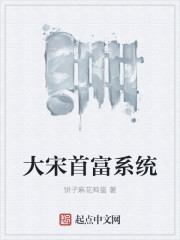 大宋首富系统