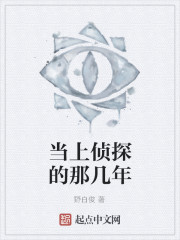 当上侦探的那几年